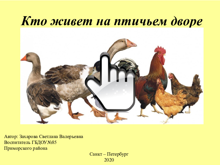 Презентация на тему: «Кто живет на птичьем дворе» (для детей младшего дошкольного возраста) 