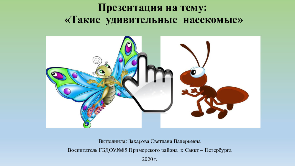 Презентация на тему: «Такие удивительные насекомые» 